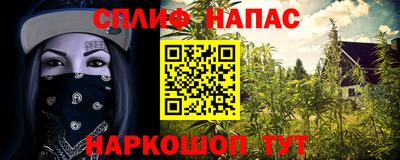 молекула духа Заводоуковск