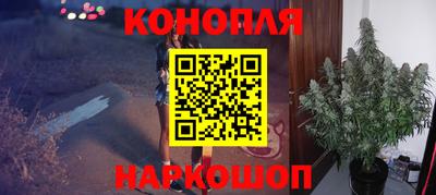 молекула духа Заводоуковск
