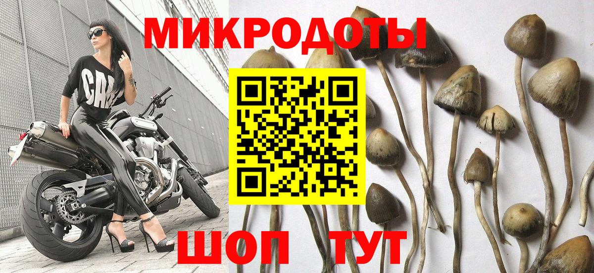 Псилоцибиновые грибы прущие грибы Красноуфимск